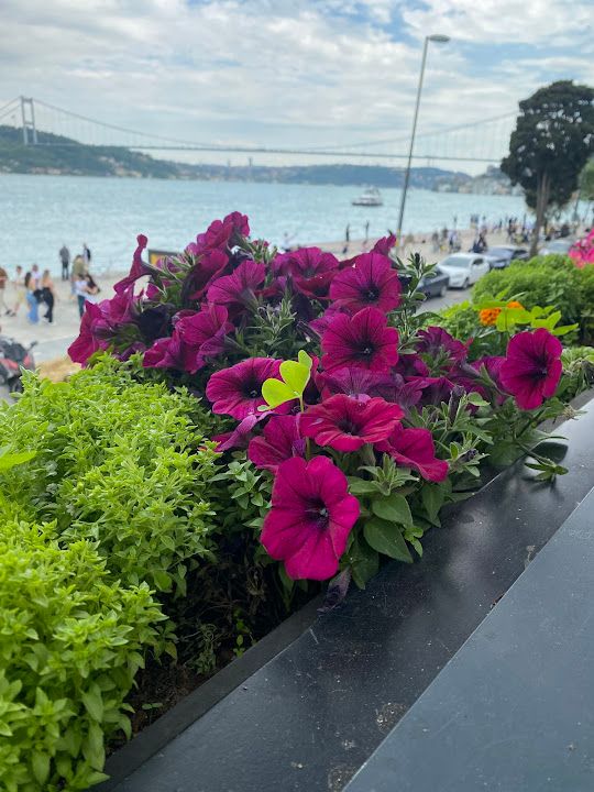 Fotoğraf 32