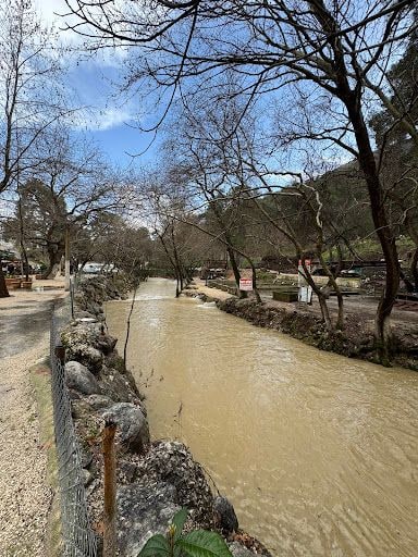 Yorum fotoğrafı 7