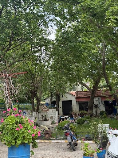 Fotoğraf 12
