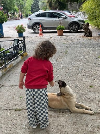 Fotoğraf 13