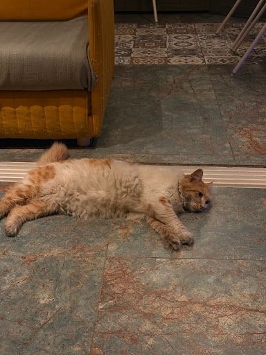 Yorum fotoğrafı 4