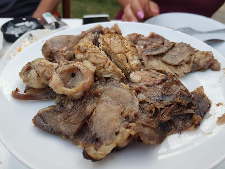 Fotoğraf 12