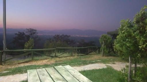 Fotoğraf 13