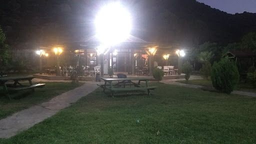 Fotoğraf 15