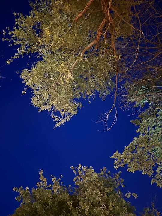 Fotoğraf 33