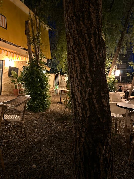 Fotoğraf 34