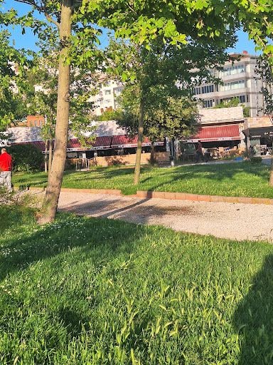 Fotoğraf 9