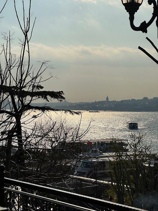Fotoğraf 31