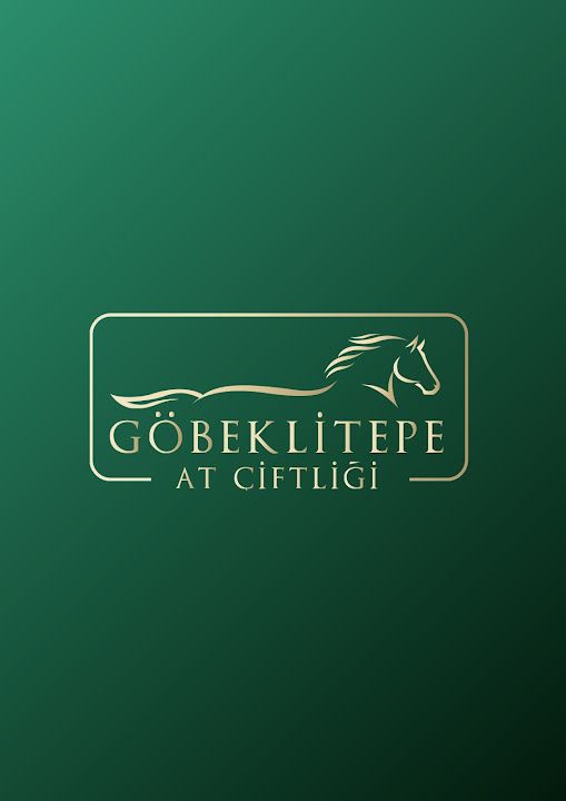 Fotoğraf 19