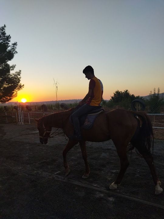 Yorum fotoğrafı 2