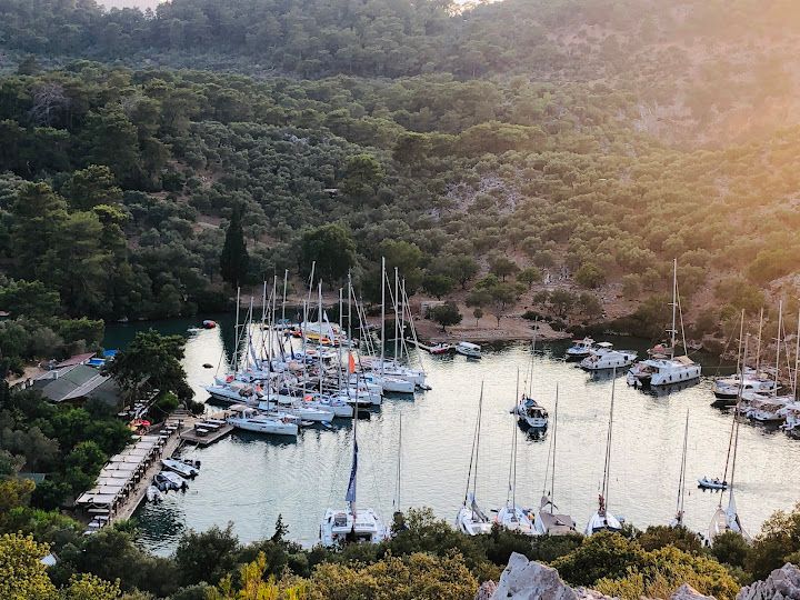 Fotoğraf 57