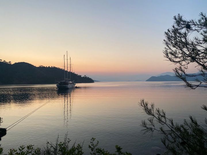 Fotoğraf 28
