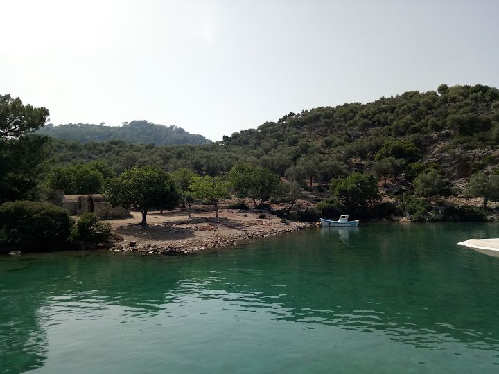 Fotoğraf 70