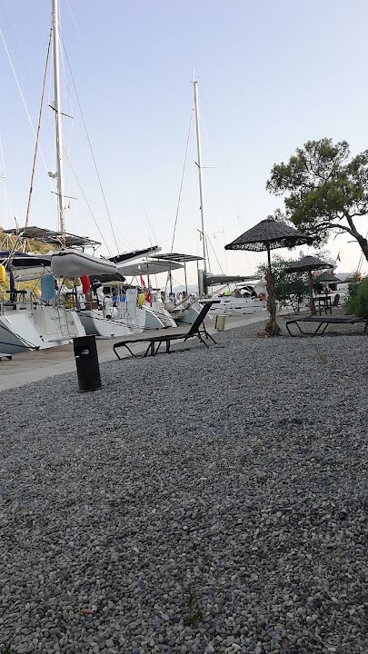 Fotoğraf 67