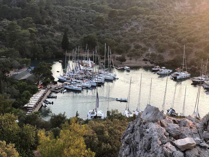 Fotoğraf 58