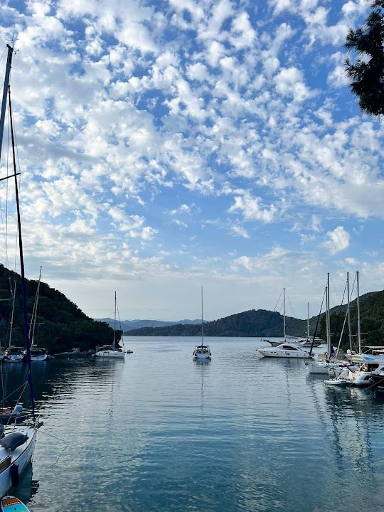 Fotoğraf 27