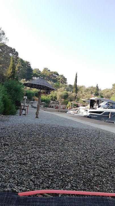 Fotoğraf 66