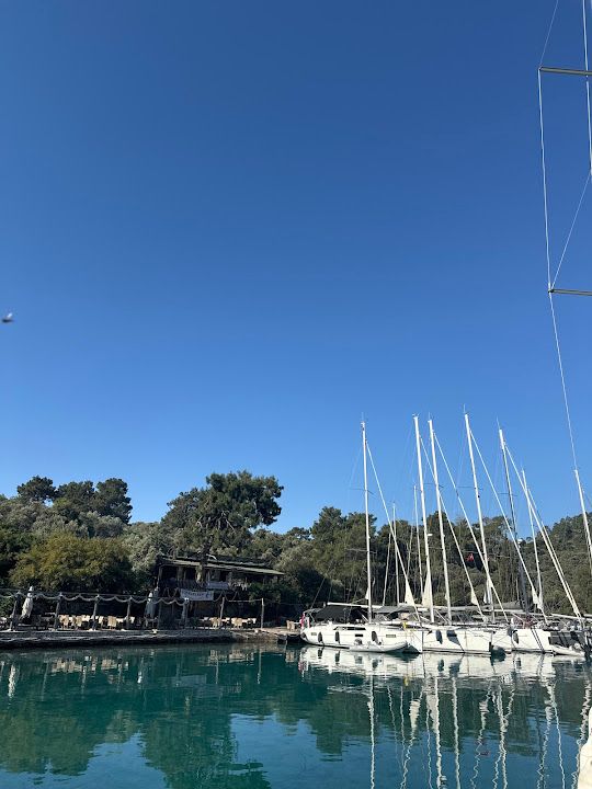 Fotoğraf 53