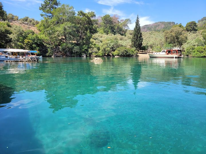 Fotoğraf 12