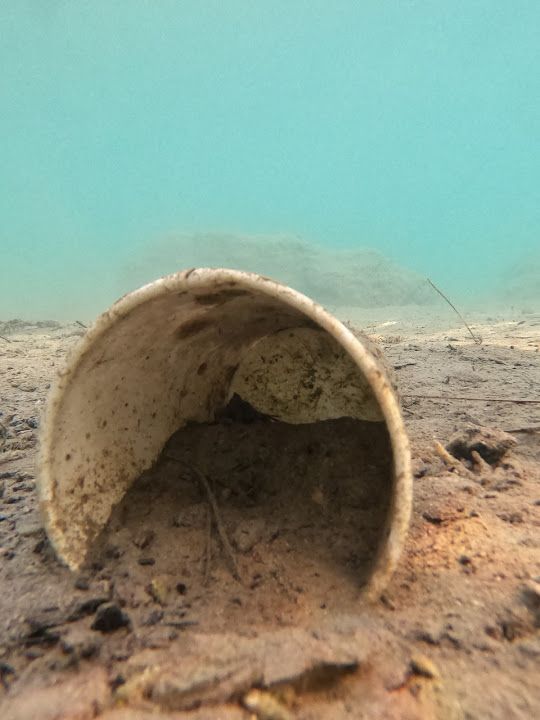 Fotoğraf 63