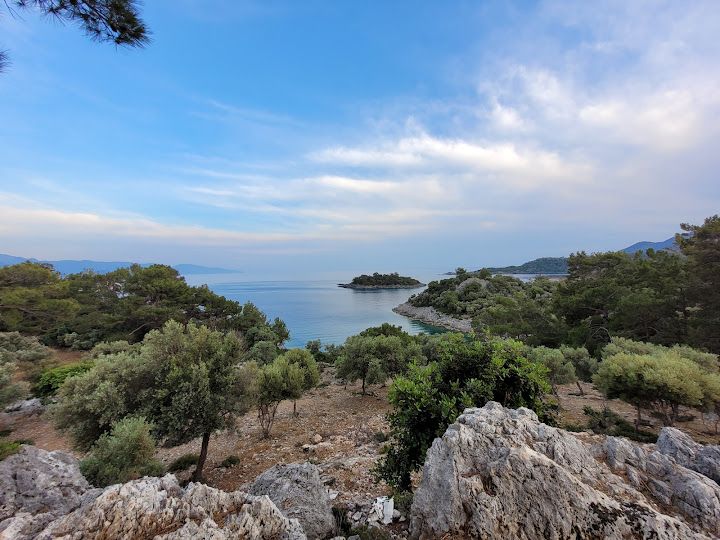 Fotoğraf 14