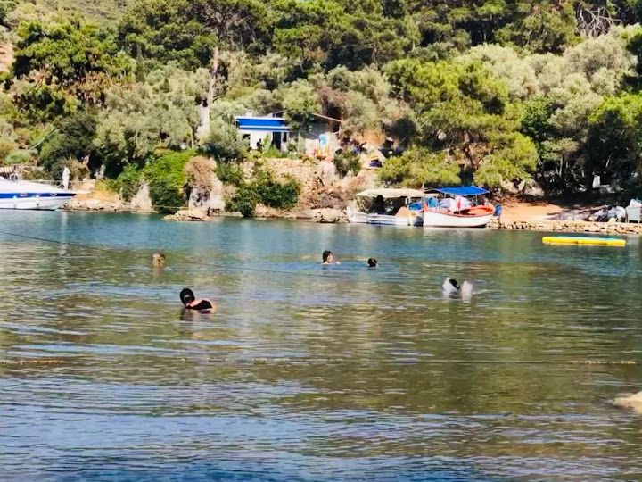 Fotoğraf 59