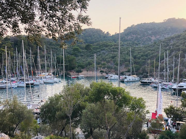 Fotoğraf 56