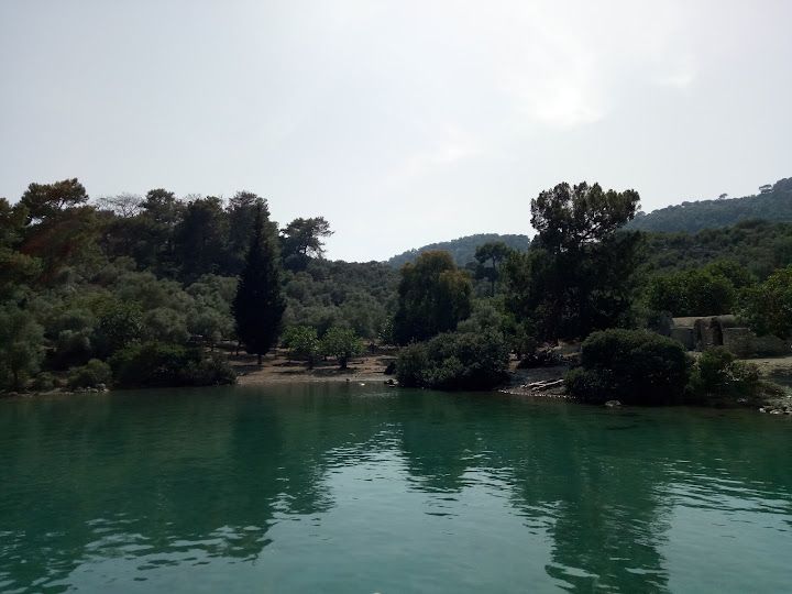 Fotoğraf 69