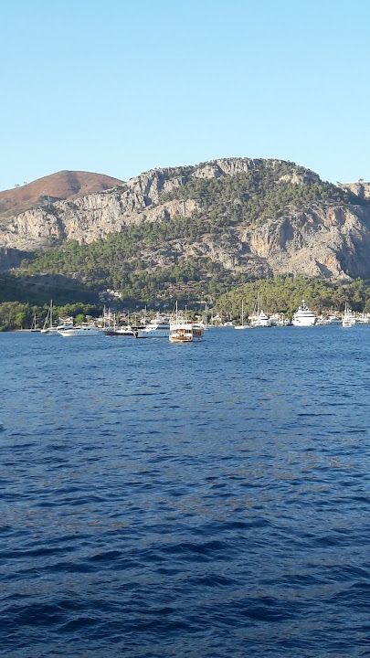 Fotoğraf 16