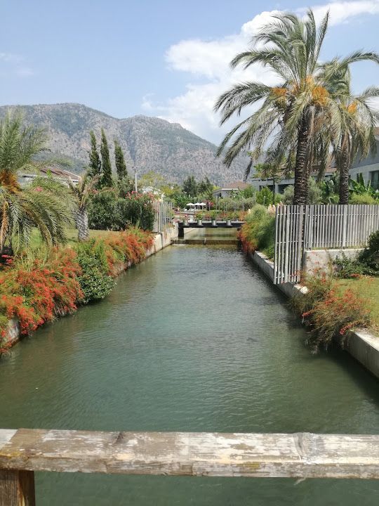 Fotoğraf 60