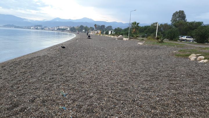 Fotoğraf 52