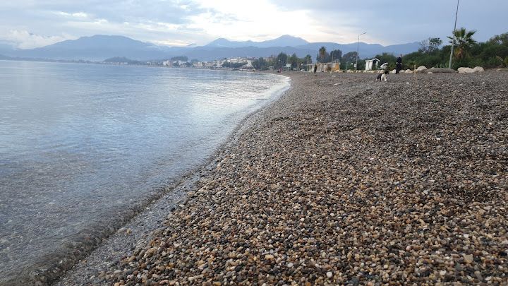 Fotoğraf 55