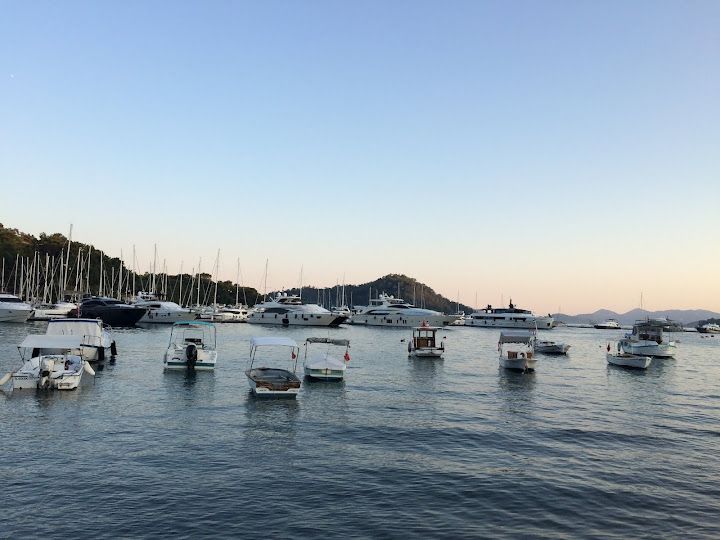 Fotoğraf 23