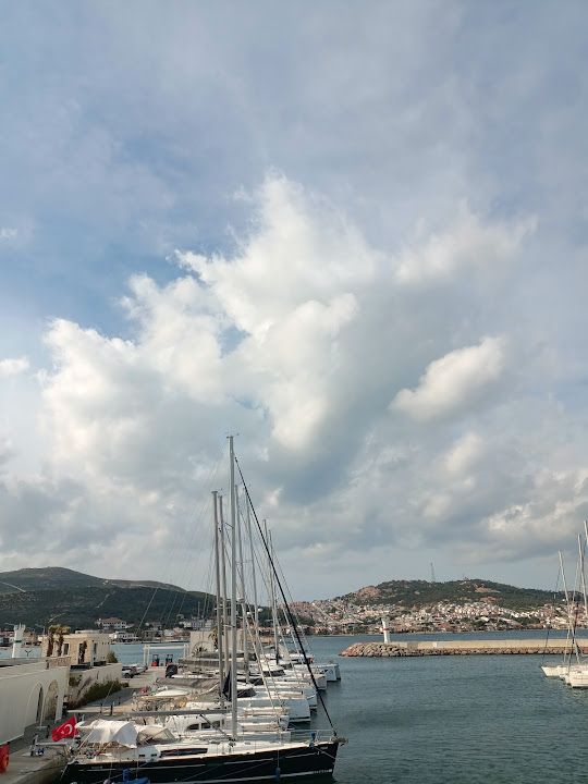Fotoğraf 49