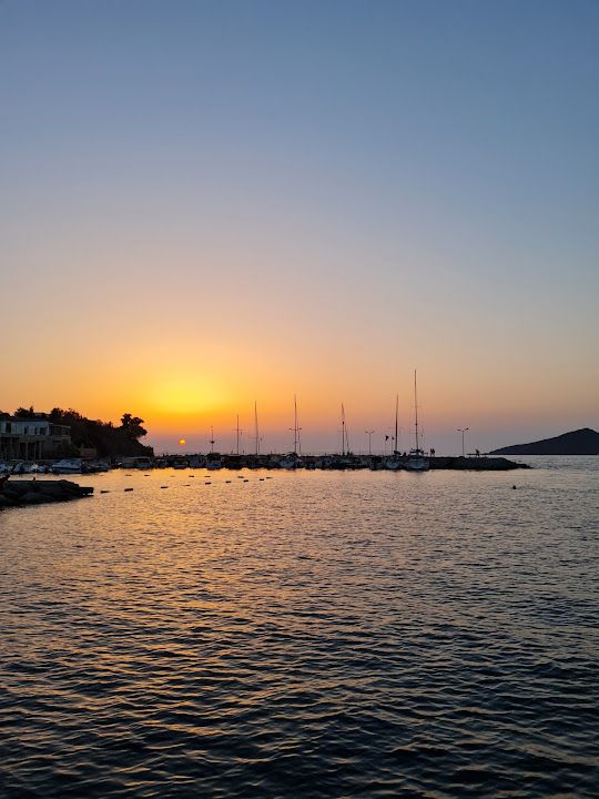 Fotoğraf 54