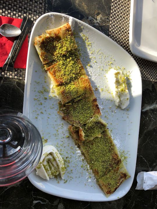 Fotoğraf 31