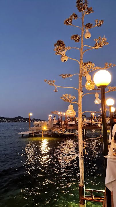 Fotoğraf 51