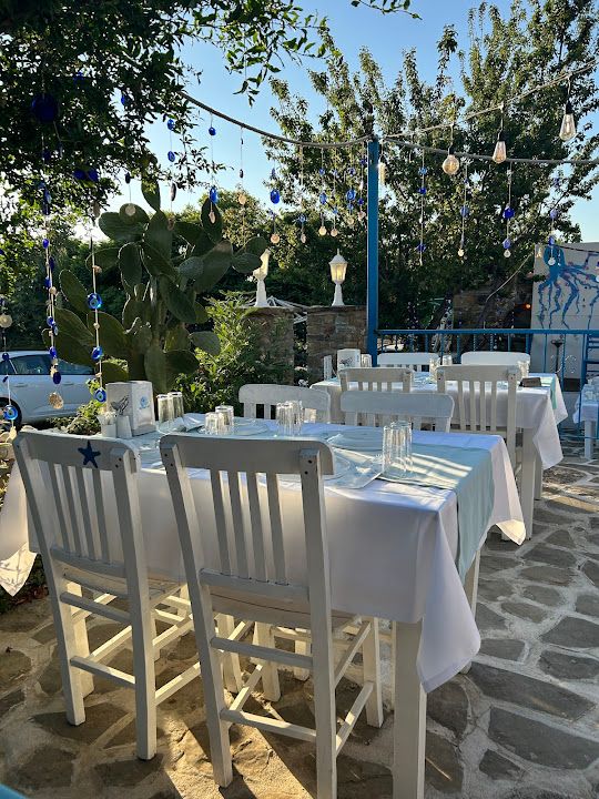 Ahtapot Evi