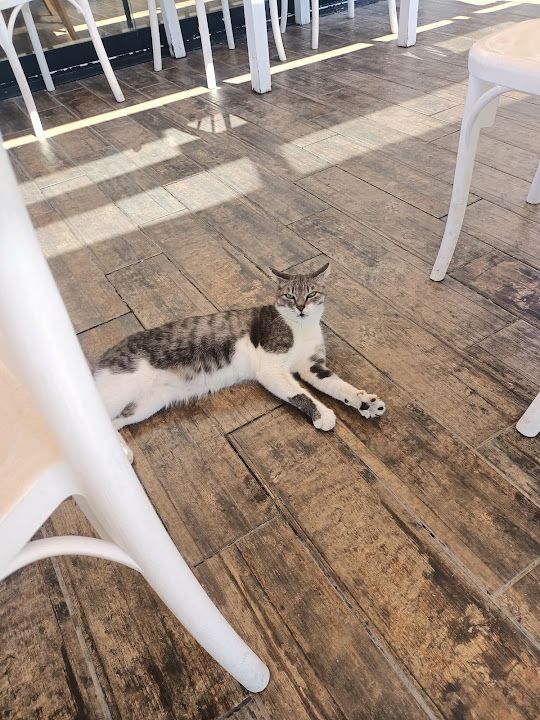 Yorum fotoğrafı 2