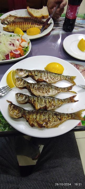 Fotoğraf 14