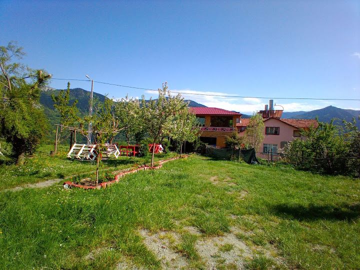 Yorum fotoğrafı 4