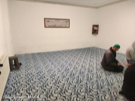 Yorum fotoğrafı 9