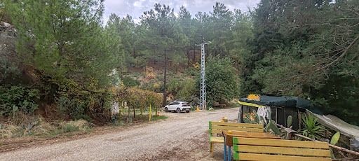 Fotoğraf 16