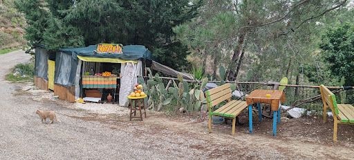 Fotoğraf 19