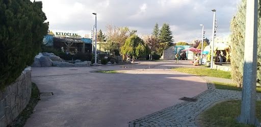 Yorum fotoğrafı 4