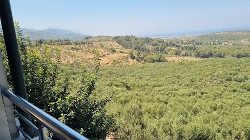 Fotoğraf 18