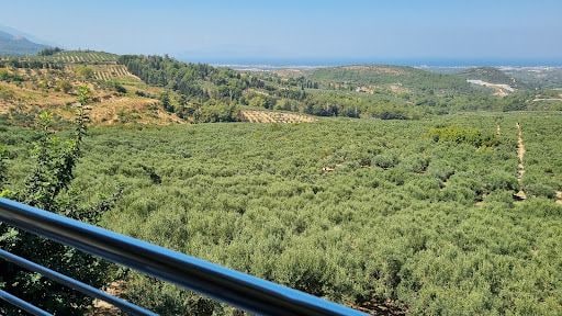 Fotoğraf 19