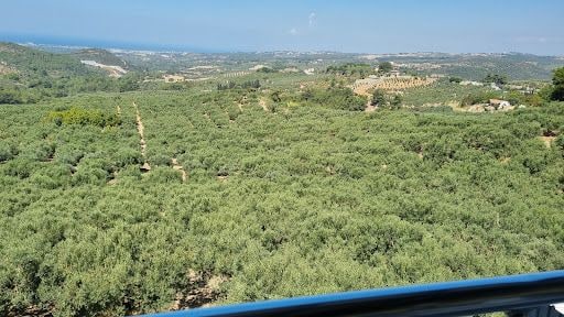 Fotoğraf 20