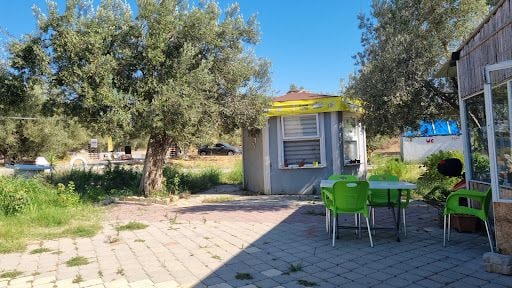 Fotoğraf 13
