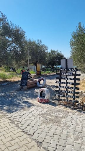 Fotoğraf 19